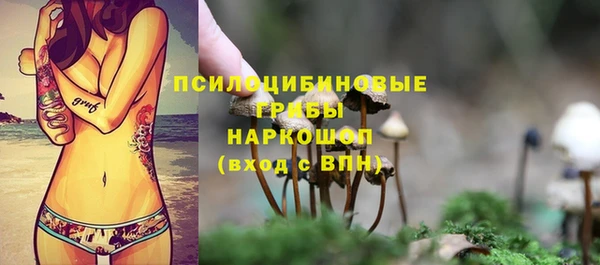 spice Армянск