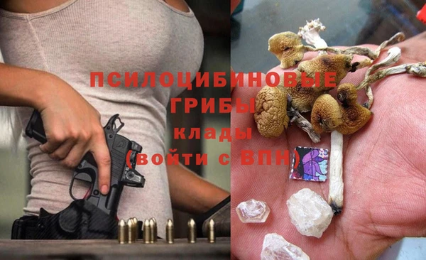 стаф Заволжье