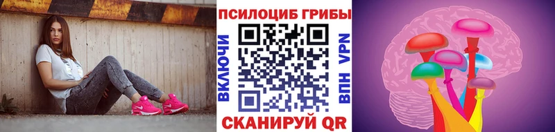 купить  цена  Армянск  Псилоцибиновые грибы Psilocybe 