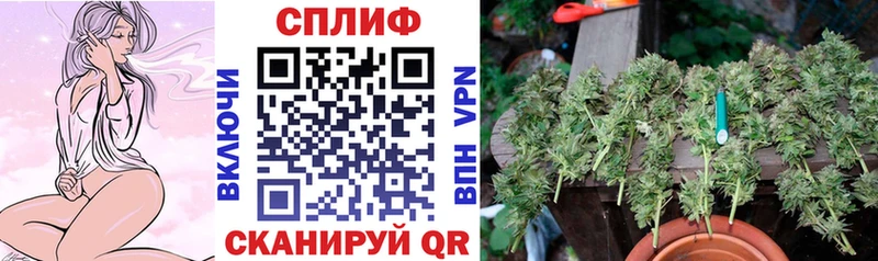 Канабис Bruce Banner Армянск